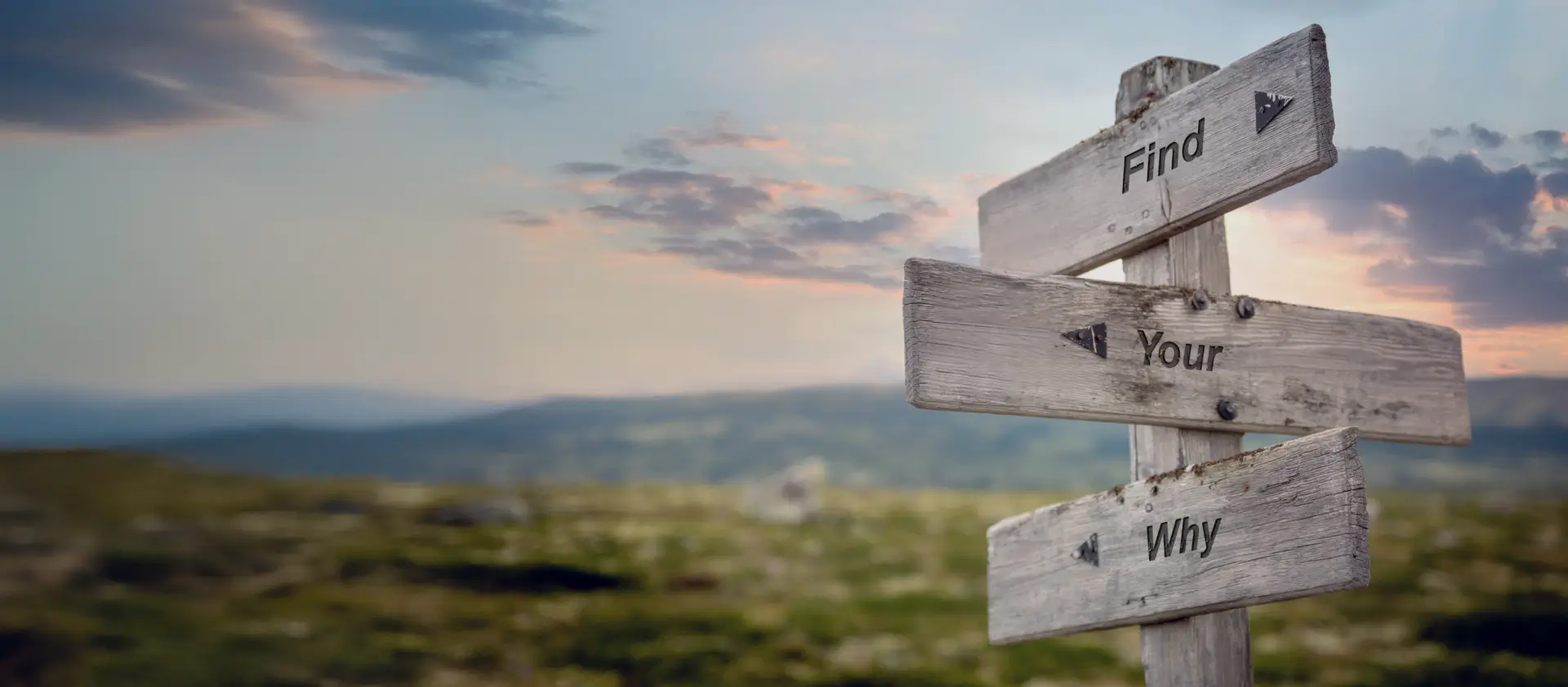 Wooden signpost with the words 'Find Your Why,' symbolizing decision-making and choosing a direction.